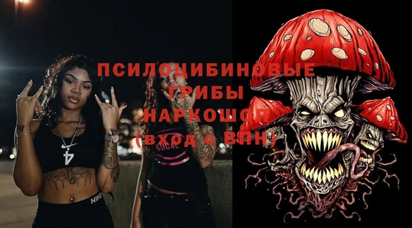 соль ск Зеленодольск