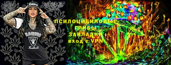 соль ск Зеленодольск