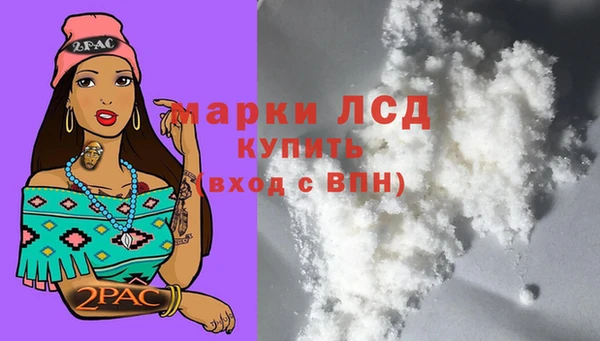 соль ск Зеленодольск